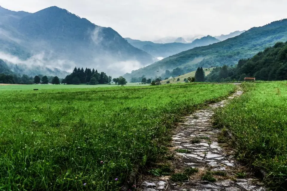 Morning on the trail